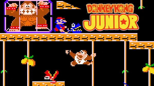 Donkey Kong Junior